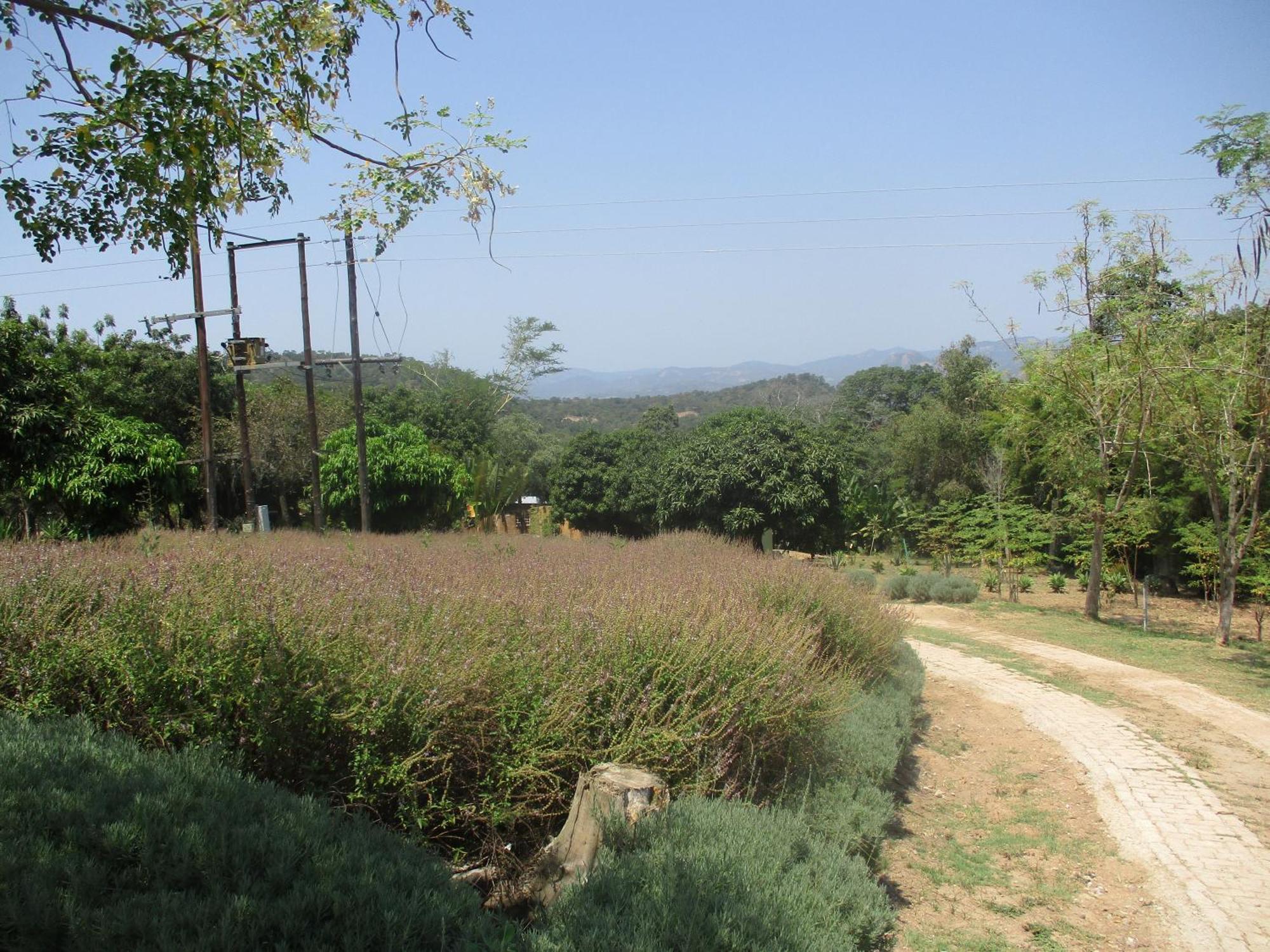 Leopard Tree Retreat Villa Mbombela ภายนอก รูปภาพ