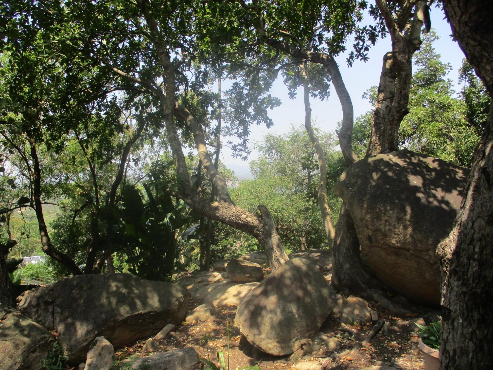 Leopard Tree Retreat Villa Mbombela ภายนอก รูปภาพ